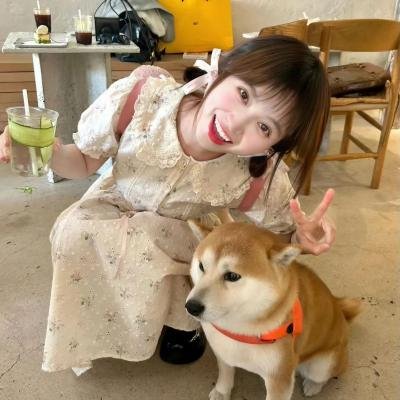 小菊的春天 在线观看